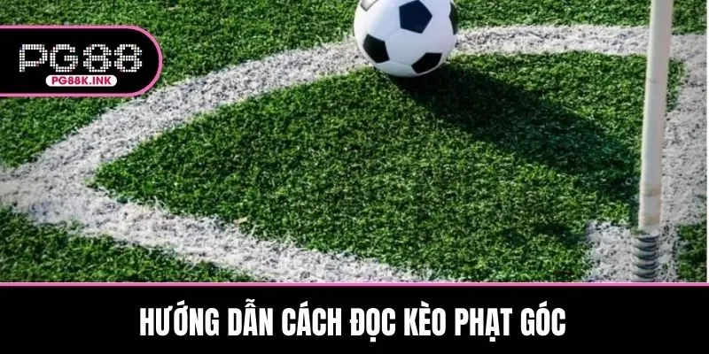 Hướng dẫn cách đọc kèo chuẩn xác cho thành viên mới
